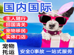 三家子机场物流国际宠物托运 【国